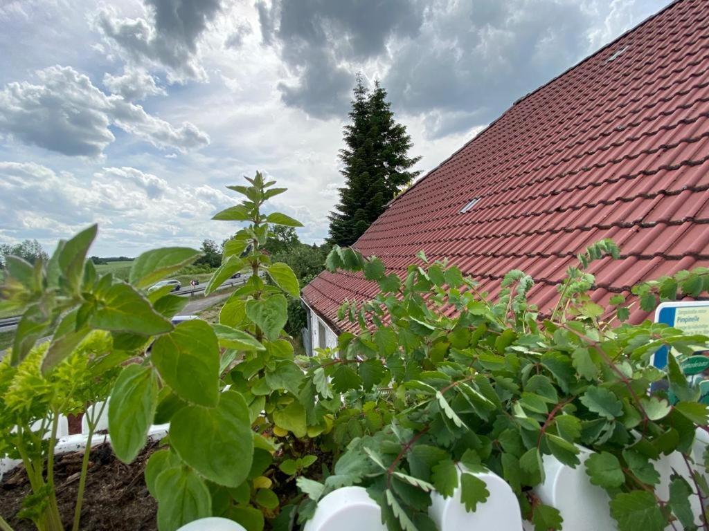 Familienhof Mueritz Apartment Klein Plasten ภายนอก รูปภาพ