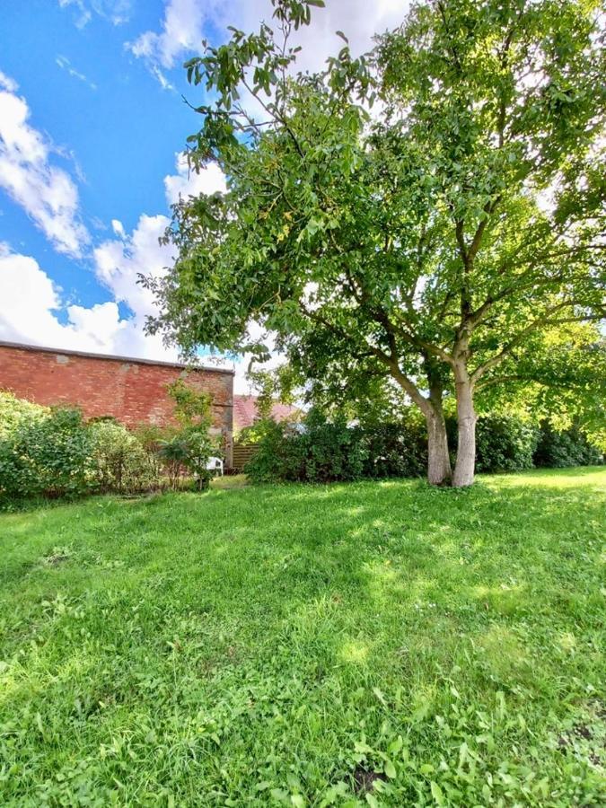 Familienhof Mueritz Apartment Klein Plasten ภายนอก รูปภาพ