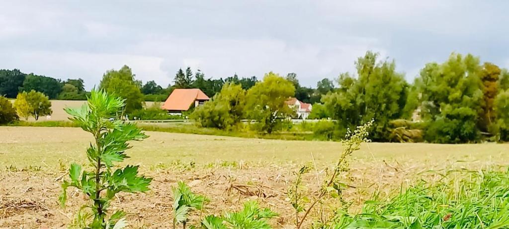 Familienhof Mueritz Apartment Klein Plasten ภายนอก รูปภาพ