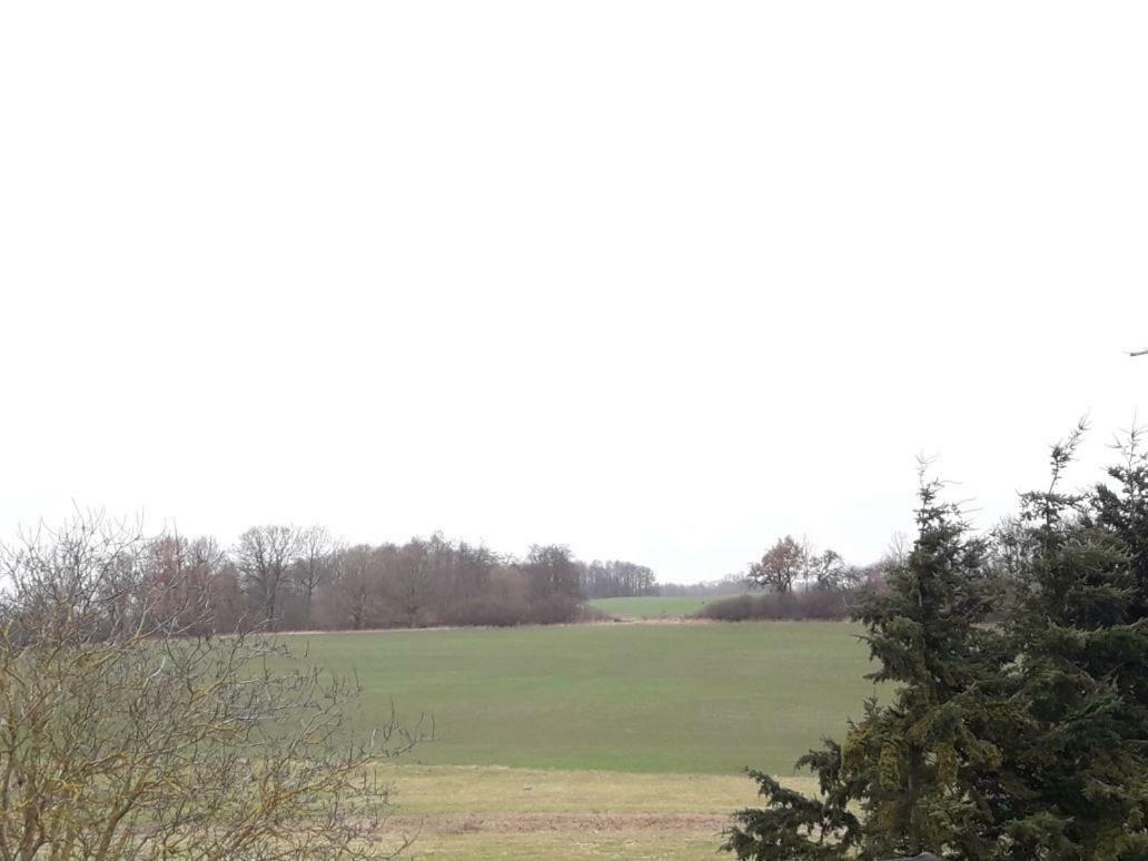 Familienhof Mueritz Apartment Klein Plasten ภายนอก รูปภาพ